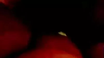 مصري واخد حماته الشرموطة الشقة وفاشها نيك