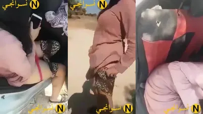 سكس مصري من العربية لشرموطة بتتضرب على طيزها