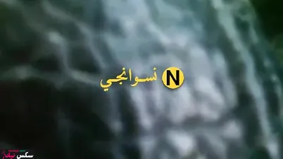 شرموطة من الصعيد حبيبها بيفشخها نيك في العربية