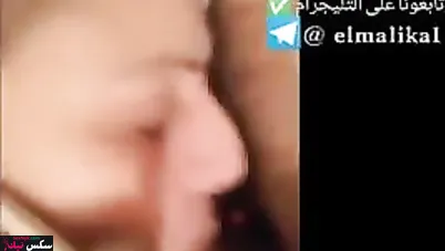 شرموطة مصرية بتمص زب عشيقها وتتكلم في التلفون