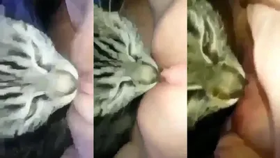 سكس مغربية جايبه قط يلحس كسها ويمتعها - سكس حيوانات