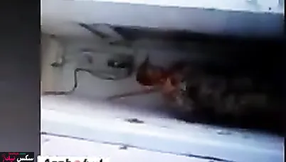 تصوير خفي  وينيك بنت  في بيت دعارة - سكس عربي