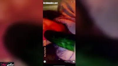 لبوة مصرية بتتصور وبتلعب في كسها وتمص الخيارة