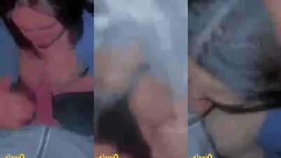 عربية بتاخد الزب على بزازها الملبن وتمصه بكل هيجان