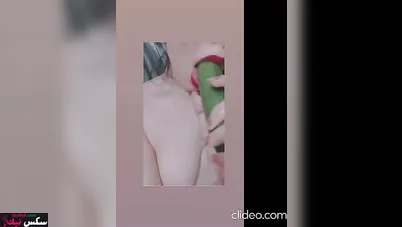 بتصور لحبيبها وهي بتنيك كسها بالخيارة وتعرض جسمها