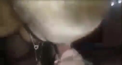 فيلم لشرموطة خبيرة في مص الزب مع عشيقها في شقة مفروشة