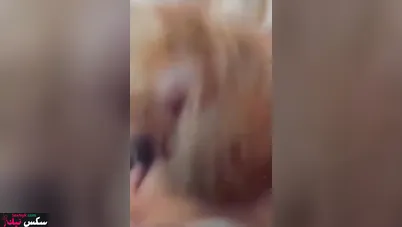 رقاصة مصرية الواد مخليها تمصله ويفشخ طيزها الكبيرة