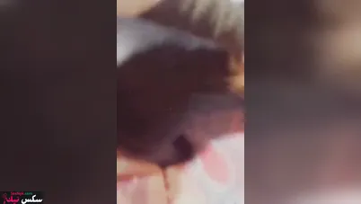 رقاصة مصرية الواد مخليها تمصله ويفشخ طيزها الكبيرة